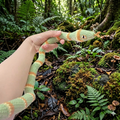 Handmade Crochet Snake Plush – Cute Striped Amigurumi Toy & Decor